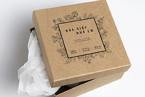 HỘP GIẤY ÂM DƯƠNG ĐƯỢC ỨNG DỤNG NHƯ THẾ NÀO?