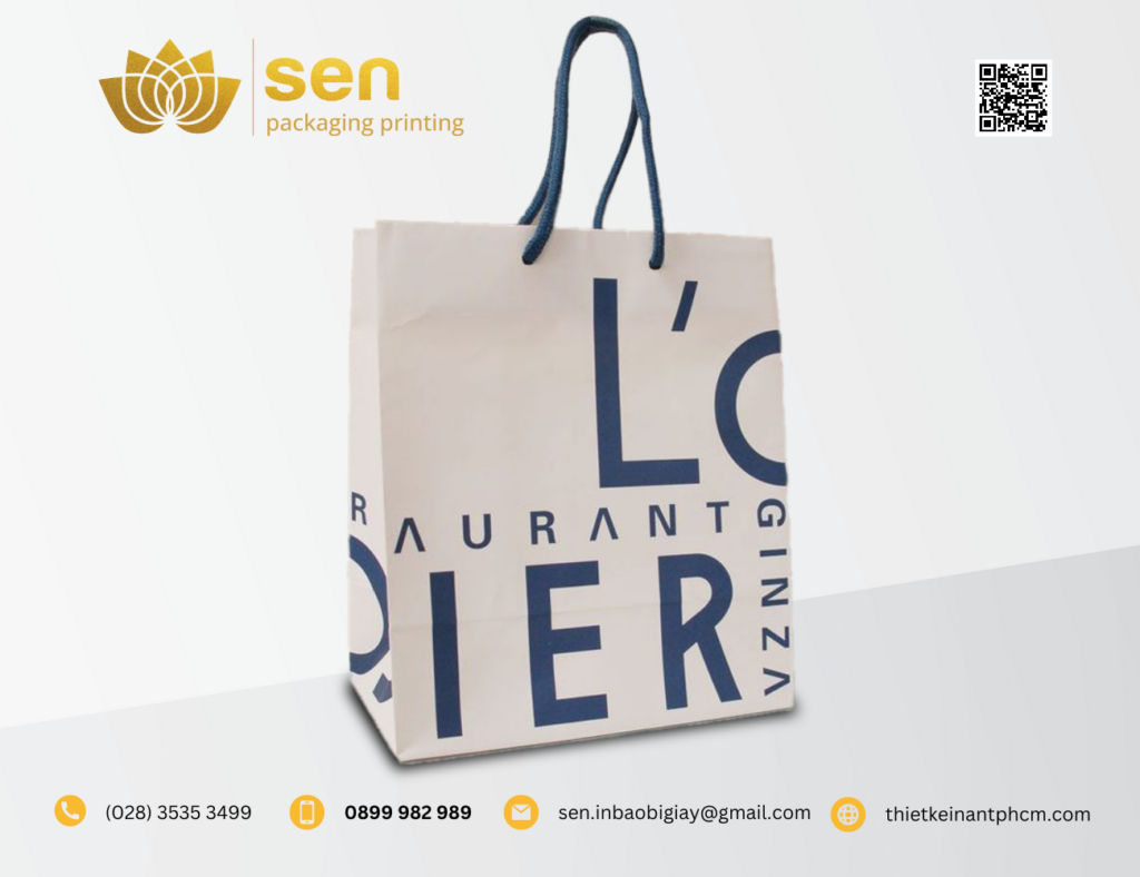 Mẫu Túi Giấy Đẹp Giá Rẻ 2023